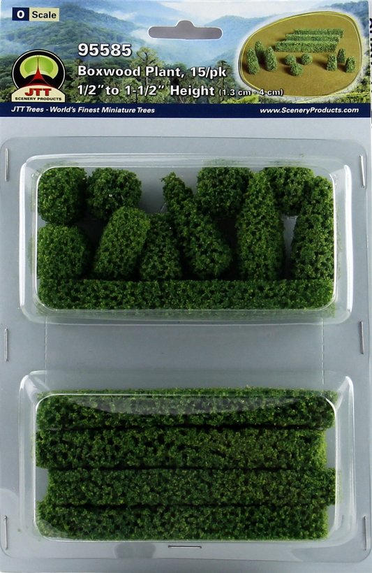 Boxwood Plants 15 pack