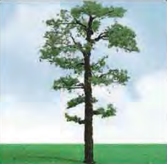 JTT Scot Pine Trees 50- 57mm (3)