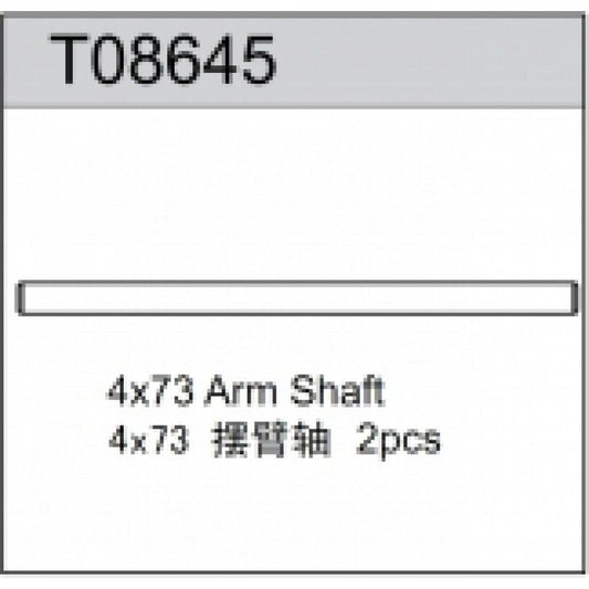 Arm Shaft, Team C
