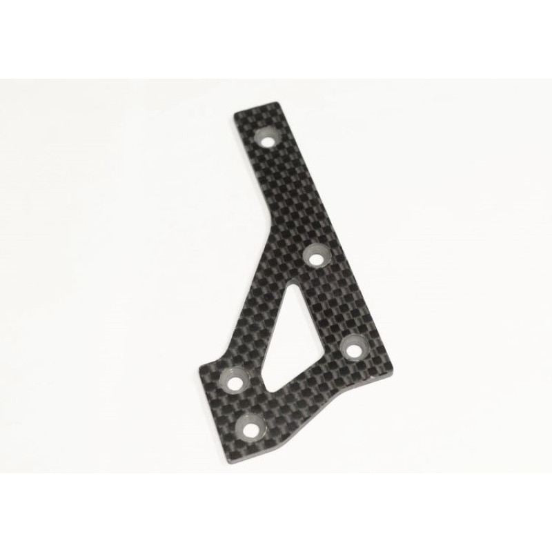 Agama Carbon fiber rear brace plate_R(1)