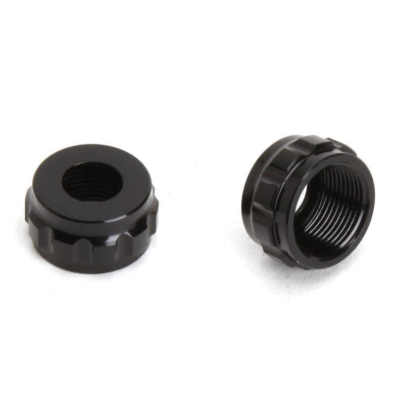Agama Shock caps bottom(2)