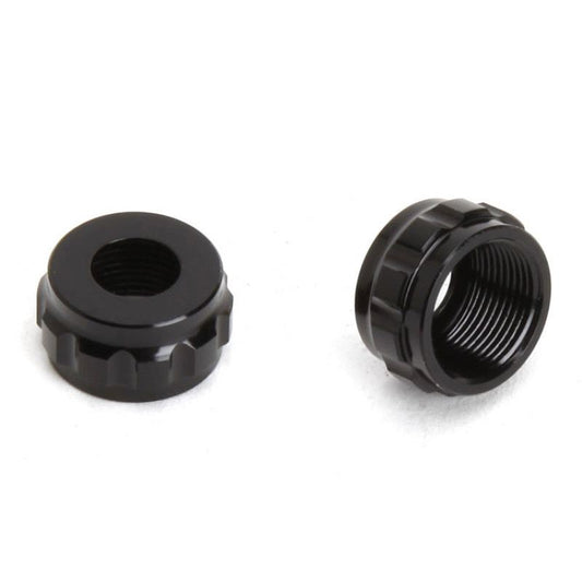 Agama Shock caps bottom(2)
