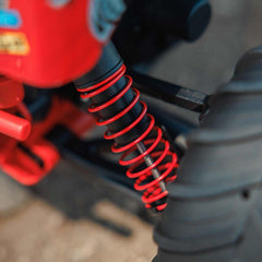 1/10 GORGON 2WD RTR Brushed Monster Truck (Battery & Charger Included), Red by A