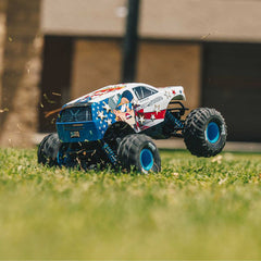 1/10 ARRMA FREEDOM FLYER 223S (Lipo Battery & Charger Included) by ARRMA
