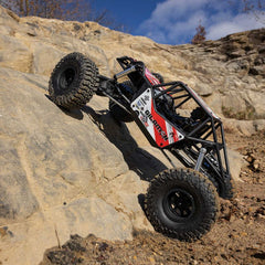 1/8 AXP8 Gilamon 2.2 4X4 RTR Brushed Trail Buggy, Red by Axial