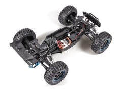 Blackzon xx1/12 Smyter DT Blue w/b&ch