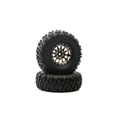 Duratrax Class 1 Ascend CR C3 1.9 Blk/Chr (2)
