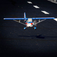 Decathlon RJG 1.2m with Smart PNP by Eflite
