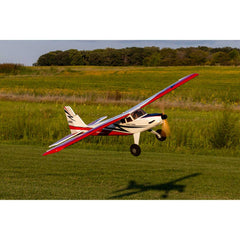 Turbo Timber SWS 2.0m BNF Basic with AS3X and SAFE Select by Eflite