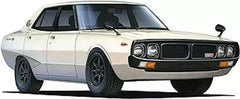 Fujimi 1/24 Skyline GT-R (KPGC110)