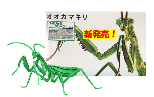 Fujimi Biology Ed Big Mantis M. Green