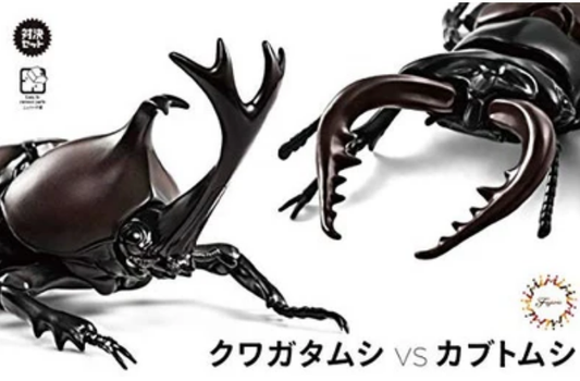 Fujimi Biology Edition Stag Beetle