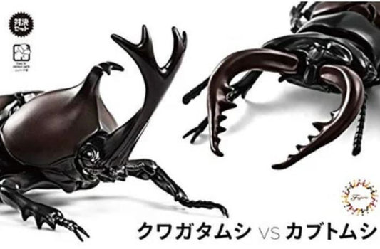 Fujimi Biology Edition Stag Beetle