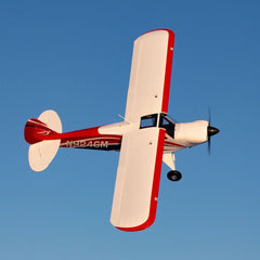 Carbon Cub FX-3 100-200cc ARF by Hangar 9