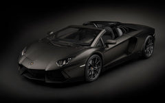 Pocher 1/8 Kit: Aventador R/S Blk