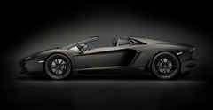 Pocher c1/8 Kit: Aventador R/ster Blk