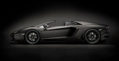 Pocher 1/8 Kit: Aventador R/S Blk