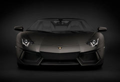 Pocher c1/8 Kit: Aventador R/ster Blk