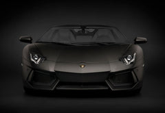 Pocher 1/8 Kit: Aventador R/S Blk