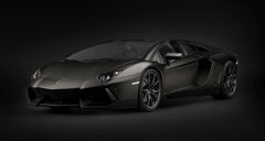 Pocher 1/8 Kit: Aventador R/S Blk