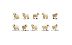 Hornby Sheep
