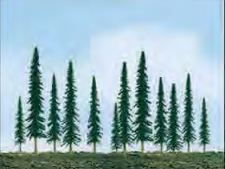 JTT 25-50mm Econo-Conifer (55)