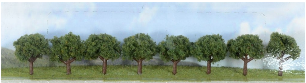 JTT SunKissed Decidus1.9-3.17cm(8)