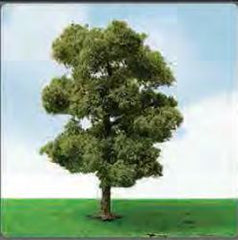 JTT 50-57mm Euro Plane Trees (3)