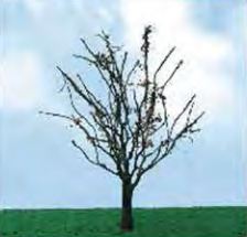 JTT 50-57mm Dry Trees (3)
