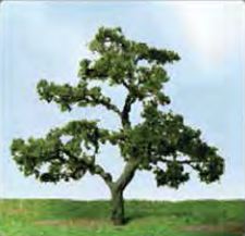 JTT 44-50mm Beech Trees (3)