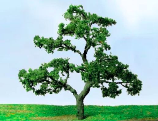 JTT 75-85mm Beech Tree (2)