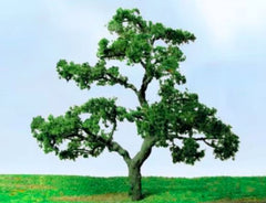 JTT 75-85mm Beech Tree (2)