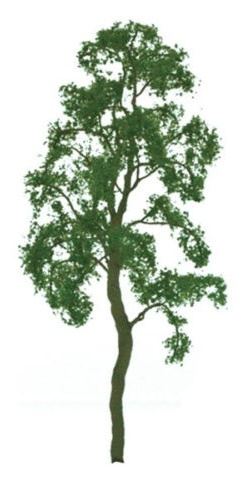 JTT xx200mm Birch Tree (1)