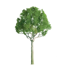 JTT Round Head Trees 25.4mm (6)