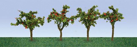 JTT HO: 35mm Apple Field (12)