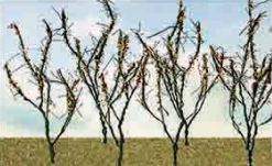 JTT 38-75mm Dry Branches (60)