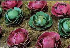 JTT O: 12mm Cabbage/Lettuce (20)