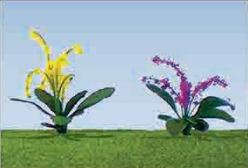 JTT O: 19mmFlower Plants(30)