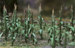 JTT HO: 25mm CornStalks (36)