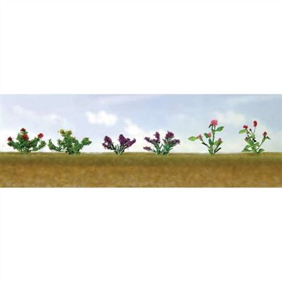 JTT HO: Assrtd Flwr Plnts 1 (12)