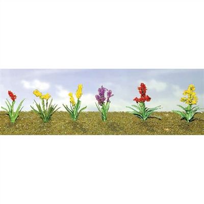 JTT HO: Assrtd Flwr Plnts 2 (12)