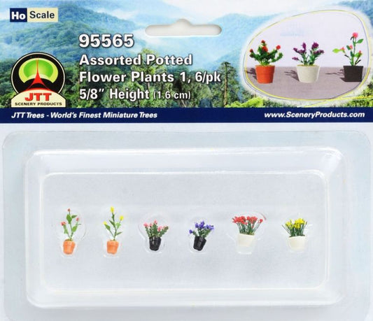 JTT HO: Assrtd P/Flwr Plnts1 (6)