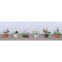 JTT HO: Assrtd P/Flwr Plnts3 (6)