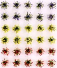 JTT HO: Detachable FlowerBush(30