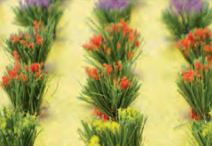 JTT HO: Detachable FlowerBush(30