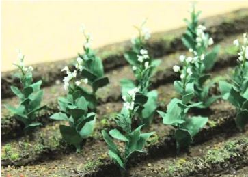 JTT HO: Tobacco Plants (16)