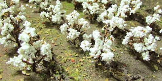 JTT HO: Cotton Plants (40)