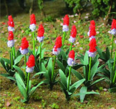 JTT HO: Primula Vialli (32)