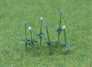 JTT HO: Allium Gigateum (30)