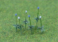 JTT HO: Allium Gigateum (30)